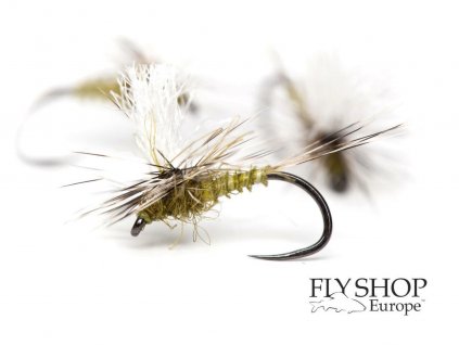 Olive Biot Parachute White Post