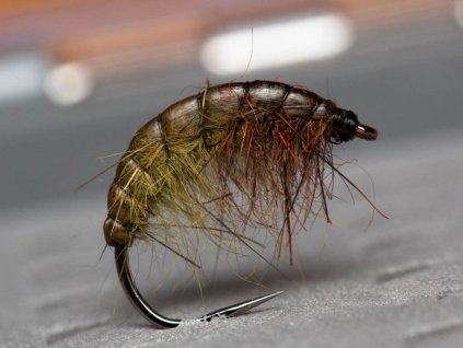 brown olive gammarus light scud fse157