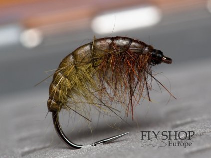 Krivák Brown Olive Gammarus