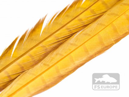 Bažant chvost FS Europe Premium Pheasant Tail - Yellow Olive