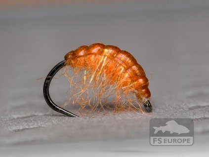 Orange Carrot Gammarus