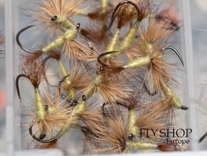 Sparkle Pale Olive Comparadun Dry Fly