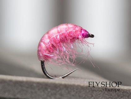 Bright Pink Gammarus