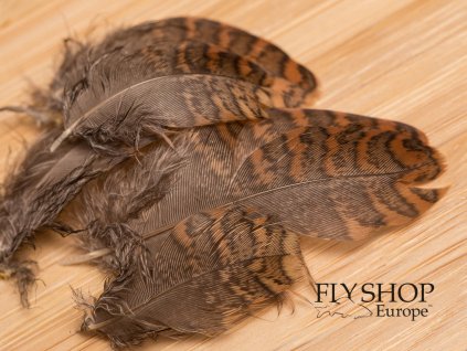 Veniard Woodcock Body Feathers (2g Pack)