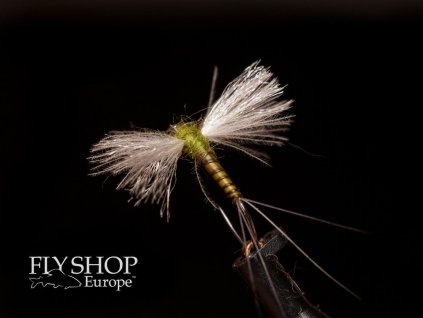 Olive Spinner Dry Fly