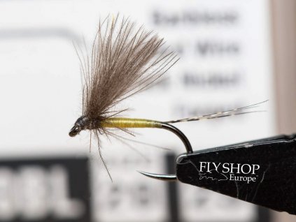 Golden Olive BWO Dun