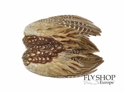 Krídla bažant Veniard Pheasant Cock Ringneck Whole Wings