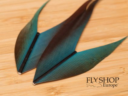FS Europe Macaw Tail Piece - Red Blue