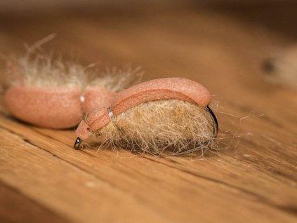 beetle bug light brown nymph fse378