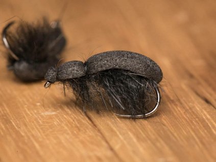 beetle bug black nymph fse379