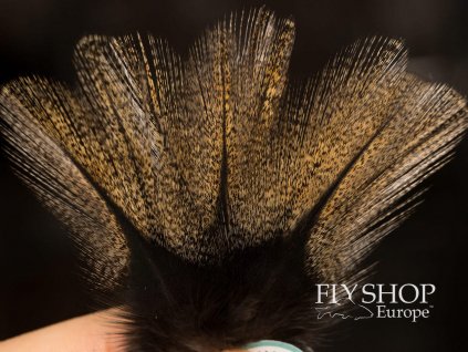 FS Europe Coq De Leon CDL Pardo Premium Feathers - Light Brown (12 Pack)