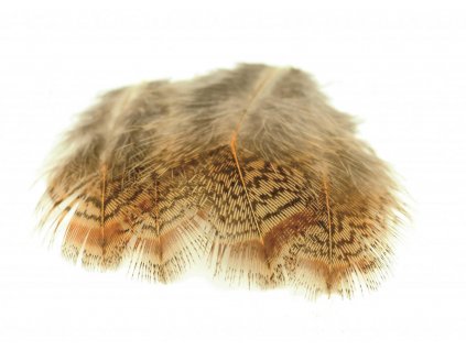 Perie jarabica Veniard Partridge Brown Back Feathers Bulk 1g Pack