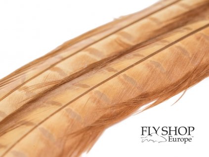 FS Europe Premium Pheasant Tail Feather - Tan