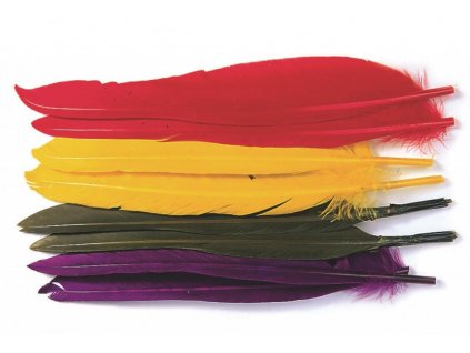 Perie kačka Veniard Duck Quills