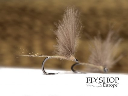 Upright Wing Trophy Dun - Light Brown