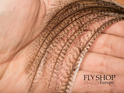 FS Europe CDL Genetic Saddle Feathers - Medium Pardo (6-pack)