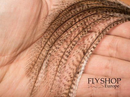 FS Europe Coq de Leon CDL Genetic Saddle Feathers - Medium Pardo (6-pack)