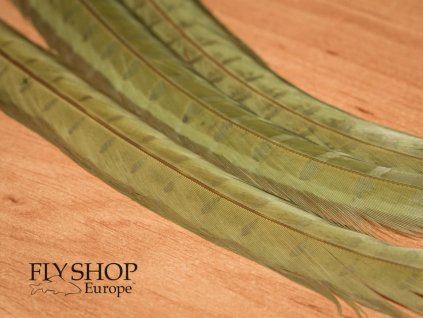 Bažant chvost FS Europe Premium Pheasant Tail - Olive