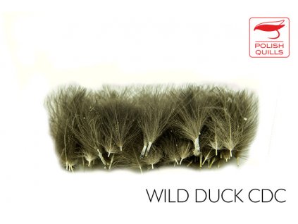 CDC perie Polish Quills Wild Duck Bulk Feathers (2g Pack)