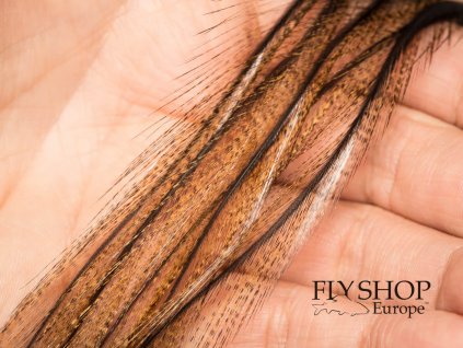 FS Europe CDL Genetic Saddle Feathers - Light Brown Pardo (6-pack)