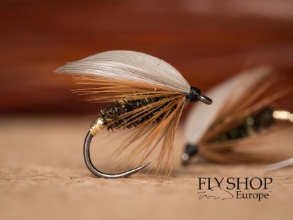 Mokrá muška Leadwing Coachman Wet Fly