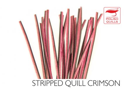 Polish Quills Hand Stripped Peacock Quills - Crimson