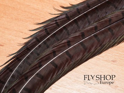 FS Europe Premium Pheasant Tail Feather - Dark Brown