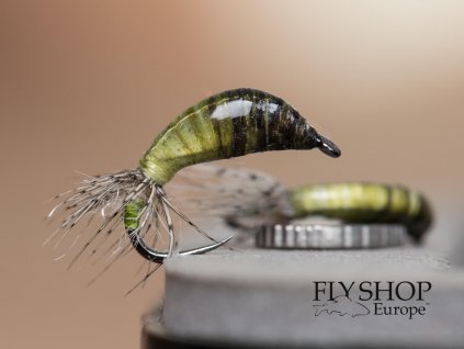 Nymfa Slick Peeping Caddis Nymph - Two Tone Olive