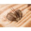 beige caddis pupa fly fse510