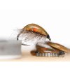 caramel gammarus hot spot (1)