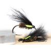 Peacock Black Cormorant Fly