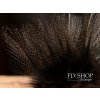 FS Europe Coq De Leon CDL Pardo Premium Feathers (12 Pack)