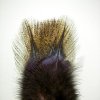 FS Europe Coq De Leon CDL Pardo Premium Feathers (12 Pack)