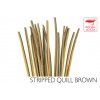 Quill & Fly Hand Stripped Peacock Quills - Brown