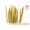Quill & Fly Hand Stripped Peacock Quills - Ginger