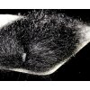 Sybai Ghost Hair