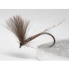 Blue Wing Natural Dun