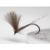 Blue Wing Natural Dun