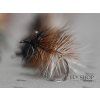 Special Tricolour Caddis Dry Fly