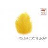 Quill & Fly Selected CDC Feathers