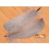 Perie hus FS Europe Goose Soft Shoulder Feathers (2 Pack)