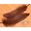 Perie hus FS Europe Goose Soft Shoulder Feathers (2 Pack)