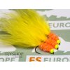 Yellow Orange Cactus Leech