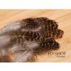 Veniard Grouse Body Feathers (2g Pack)