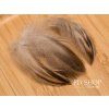 Veniard Mallard Duck Hen Flank Natural Feathers (2g Pack)