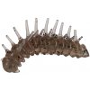Illex Magic Larva Soft Bait 3.5cm (1.34in)