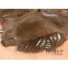 FS Europe Pine Squirrel Whole Skin - Natural Zonkered