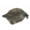 Veniard English Partridge Complete Skin