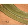 FS Europe Premium Pheasant Tail Feather - Olive