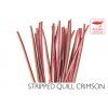 Quill & Fly Hand Stripped Peacock Quills - Crimson